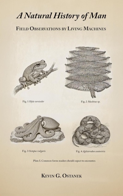 A Natural History of Man: Field Observations by Living Machines — cover: a natural-history plate showing a tree frog, a machine catalogued as Machina sp., an octopus, and a copperhead