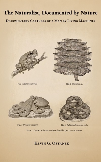 The Naturalist, Documented by Nature — cover: a natural-history plate showing a tree frog, a machine catalogued as Machina sp., an octopus, and a copperhead